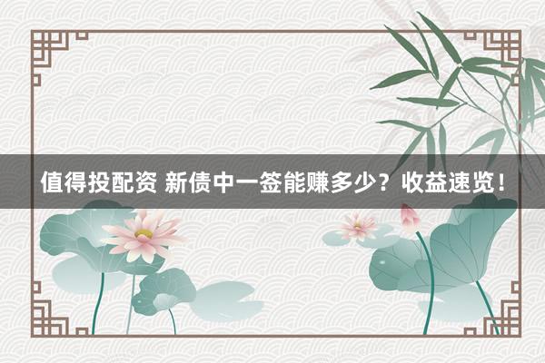 值得投配资 新债中一签能赚多少？收益速览！