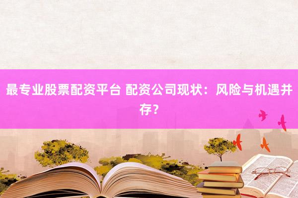 最专业股票配资平台 配资公司现状：风险与机遇并存？