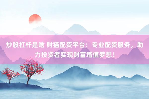炒股杠杆是啥 财猫配资平台：专业配资服务，助力投资者实现财富增值梦想！