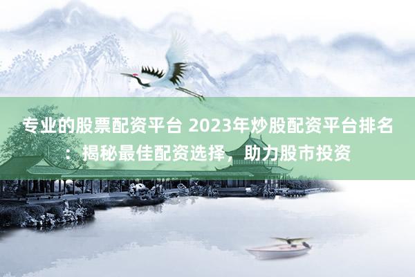 专业的股票配资平台 2023年炒股配资平台排名：揭秘最佳配资选择，助力股市投资