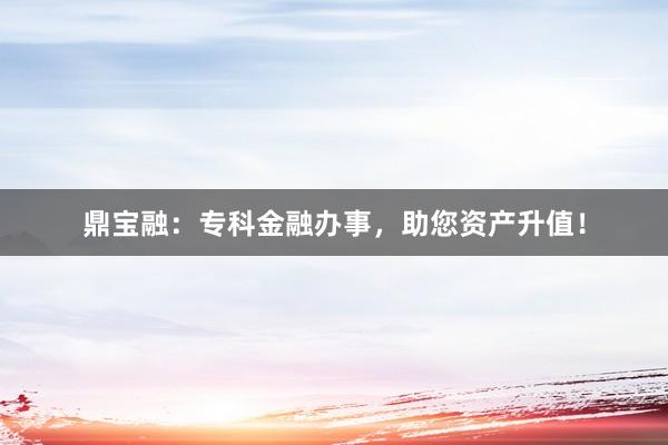 鼎宝融：专科金融办事，助您资产升值！