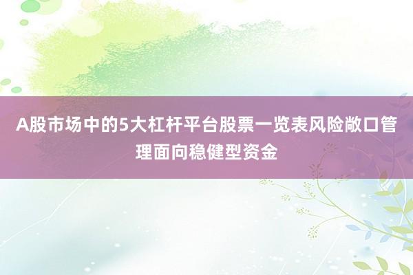 A股市场中的5大杠杆平台股票一览表风险敞口管理面向稳健型资金